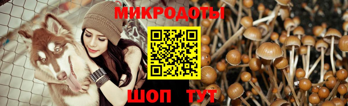 Галлюциногенные грибы Cubensis Волхов
