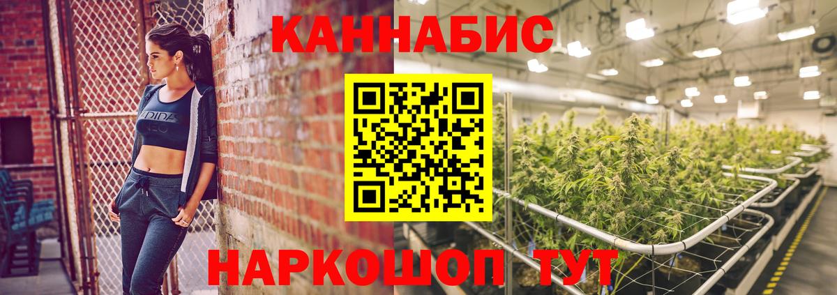 Марихуана Bruce Banner  Канабис планчик  Марихуана планчик  Волхов  Вход с VPN  Бошки Шишки семена 